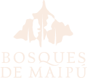 BMAIPURecurso 11