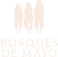 BMAYORecurso 12